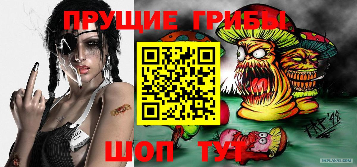 Псилоцибиновые грибы GOLDEN TEACHER Родники