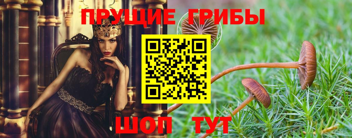 Псилоцибиновые грибы мицелий  Вход с VPN  Галлюциногенные грибы MAGIC MUSHROOMS  Родники 